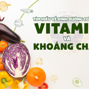 tim-hieu-ve-vitamin-va-khoang-chat